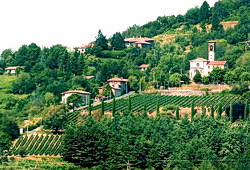 STORIA DELLA CHIESA - pdf